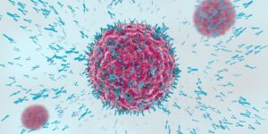 vitamina D sistema immunitario