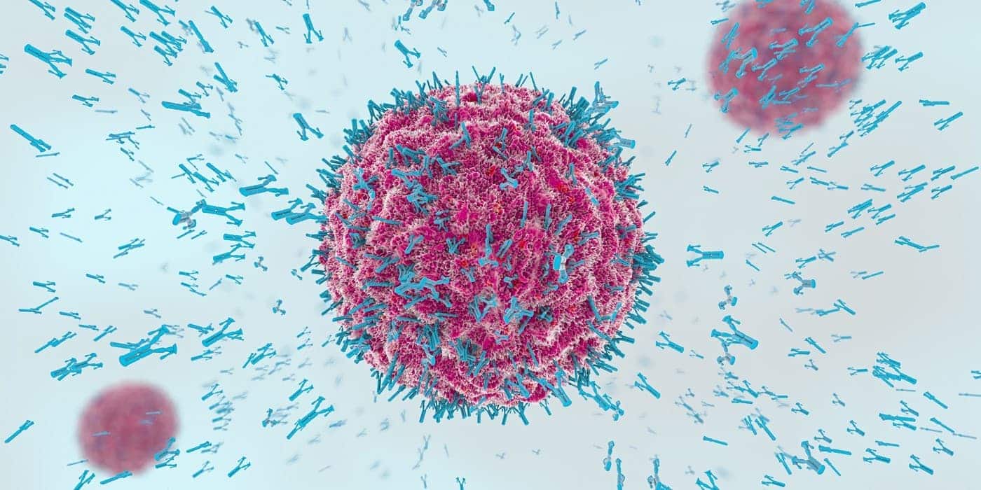 vitamina D sistema immunitario