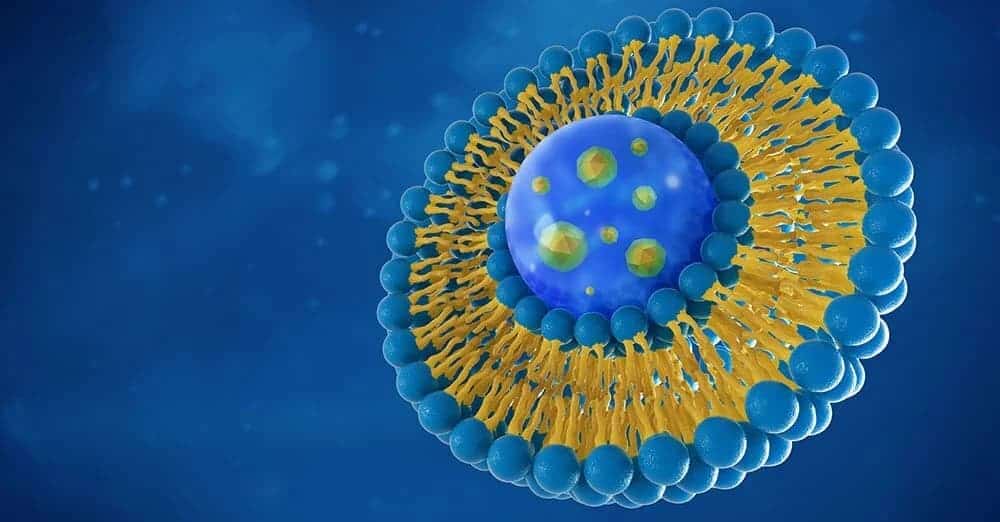 vitamine liposomiali