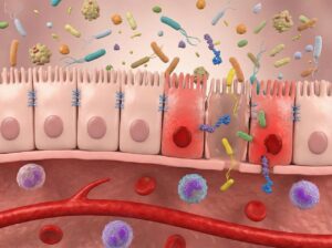 permeabilita intestinale integratori naturali